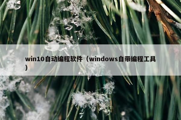 win10自动编程软件（windows自带编程工具）