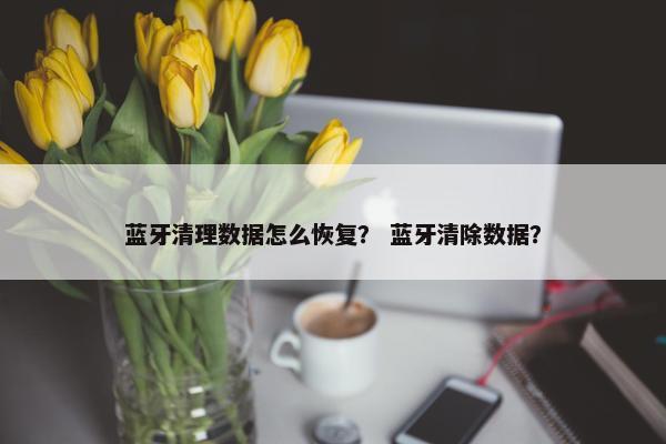 蓝牙清理数据怎么恢复？ 蓝牙清除数据？