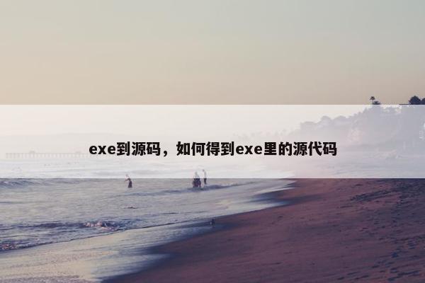 exe到源码，如何得到exe里的源代码
