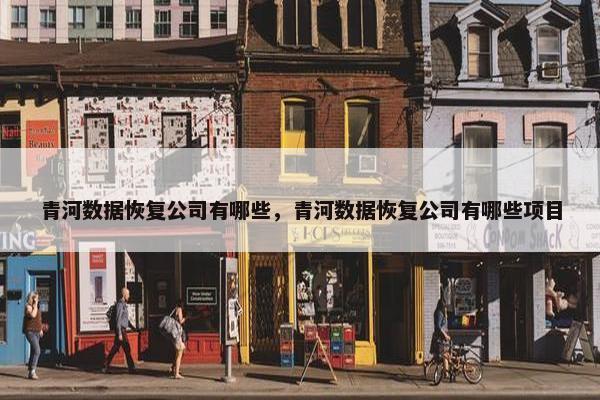 青河数据恢复公司有哪些，青河数据恢复公司有哪些项目