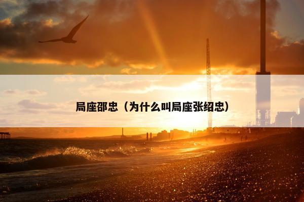 局座邵忠（为什么叫局座张绍忠）