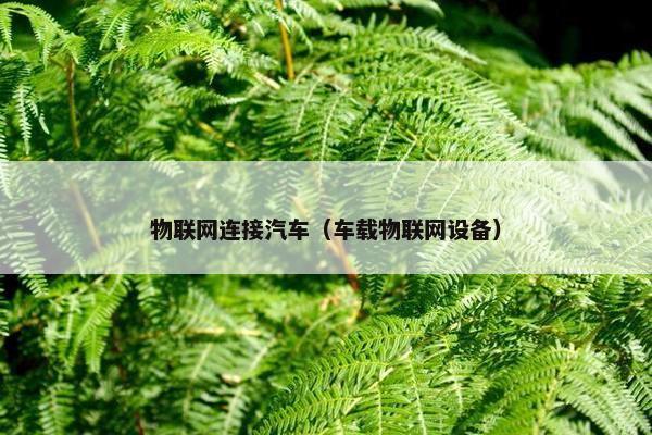 物联网连接汽车（车载物联网设备）