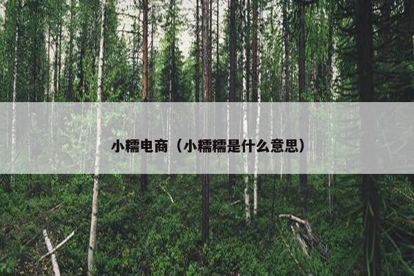 小糯电商(小糯糯是什么意思) 小糯电商(小糯糯是什么意思)