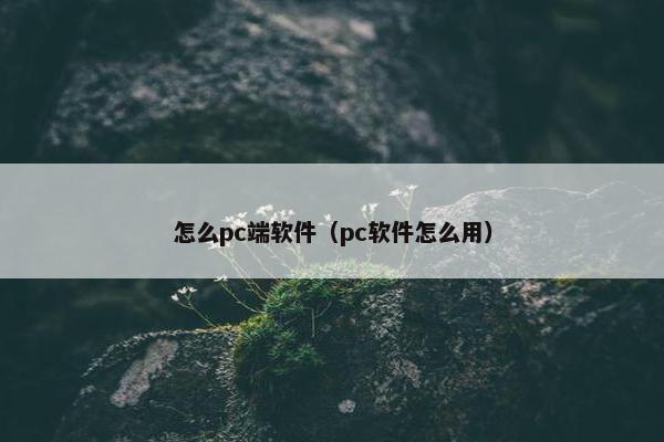 怎么pc端软件（pc软件怎么用）