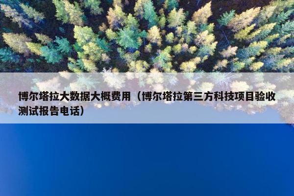 博尔塔拉大数据大概费用（博尔塔拉第三方科技项目验收测试报告电话）