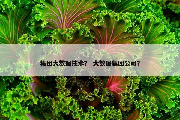 集团大数据技术？ 大数据集团公司？