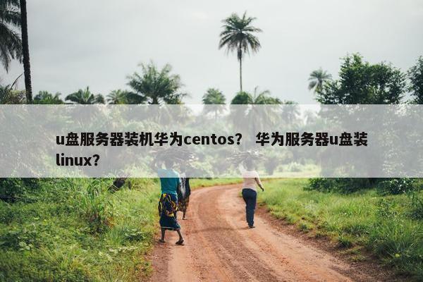u盘服务器装机华为centos？ 华为服务器u盘装linux？
