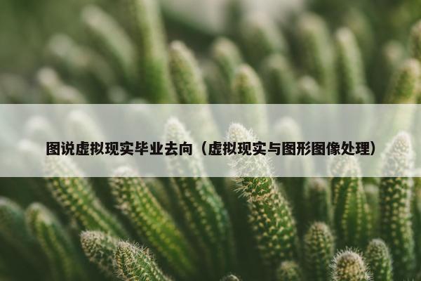 图说虚拟现实毕业去向（虚拟现实与图形图像处理）
