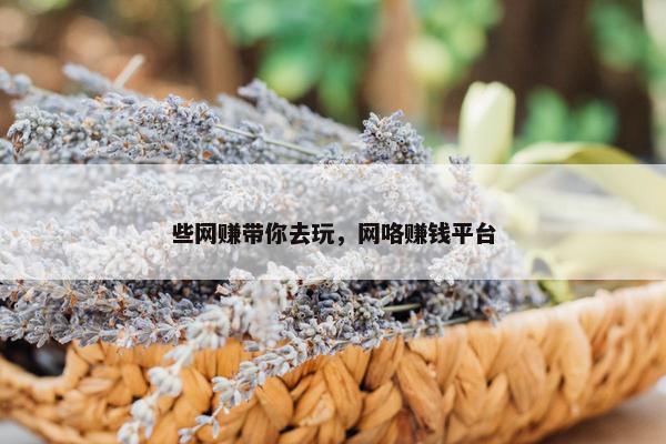 些网赚带你去玩，网咯赚钱平台