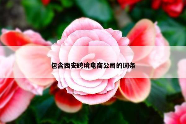 包含西安跨境电商公司的词条