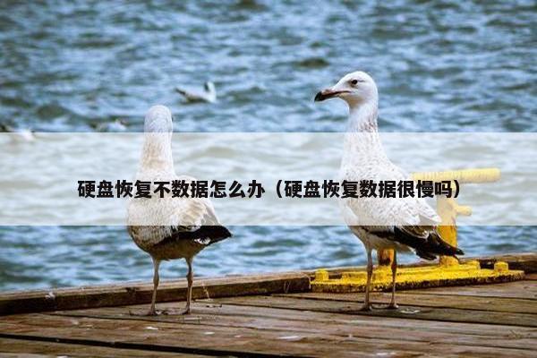 硬盘恢复不数据怎么办（硬盘恢复数据很慢吗）