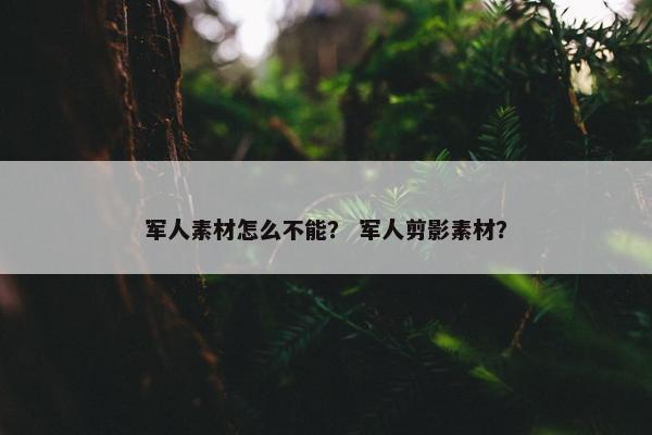 军人素材怎么不能？ 军人剪影素材？