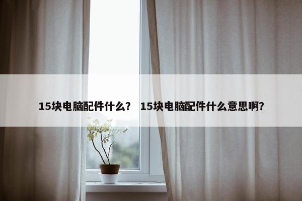 15块电脑配件什么? 15块电脑配件什么意思啊? 15块电脑配件什么? 15块电脑配件什么意思啊?