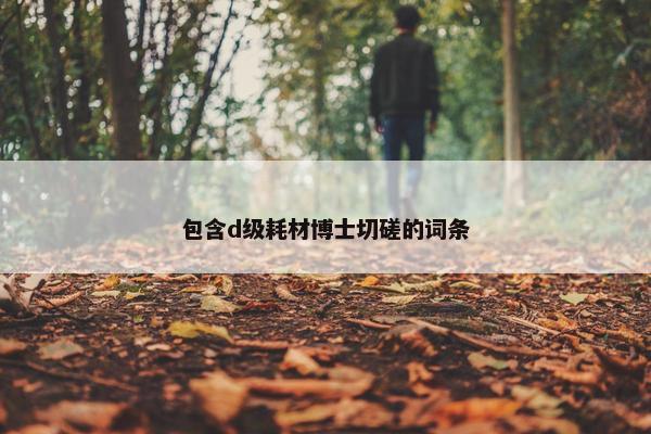包含d级耗材博士切磋的词条