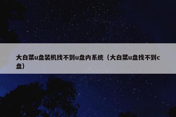 大白菜u盘装机找不到u盘内系统（大白菜u盘找不到c盘）