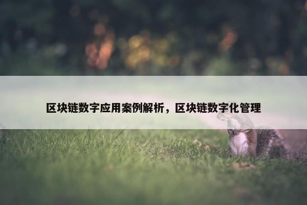 区块链数字应用案例解析，区块链数字化管理