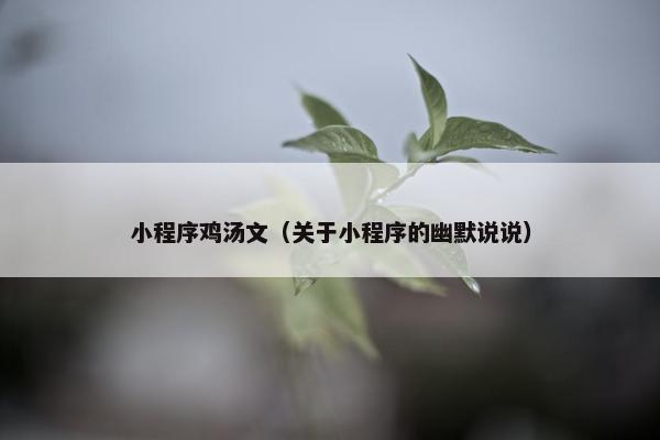 小程序鸡汤文（关于小程序的幽默说说）