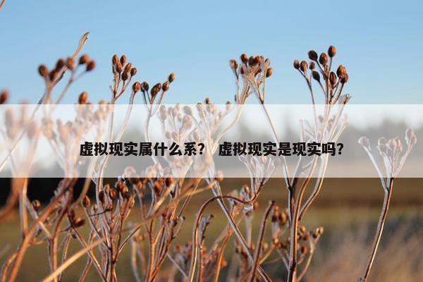 虚拟现实属什么系？ 虚拟现实是现实吗？