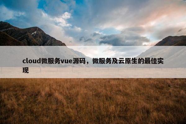 cloud微服务vue源码，微服务及云原生的最佳实现