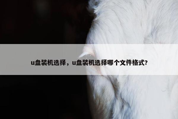 u盘装机选择，u盘装机选择哪个文件格式?