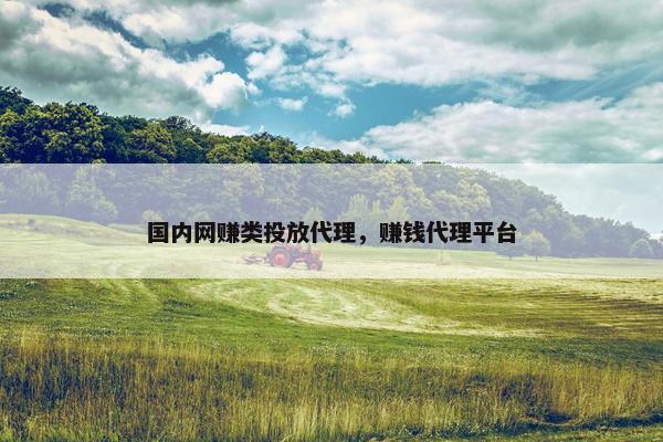 国内网赚类投放代理，赚钱代理平台