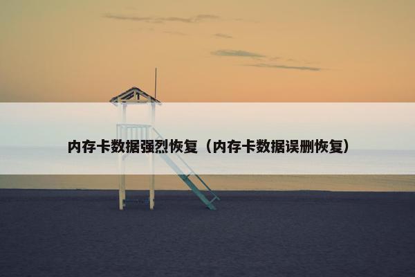 内存卡数据强烈恢复（内存卡数据误删恢复）