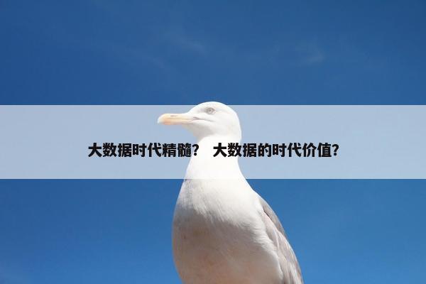 大数据时代精髓？ 大数据的时代价值？