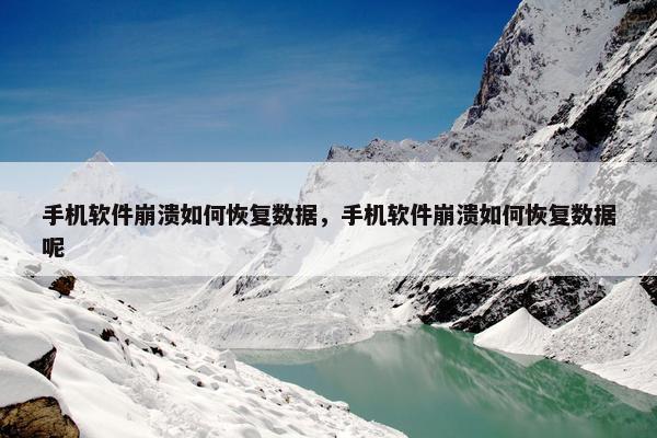 手机软件崩溃如何恢复数据，手机软件崩溃如何恢复数据呢
