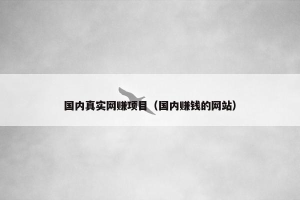 国内真实网赚项目（国内赚钱的网站）