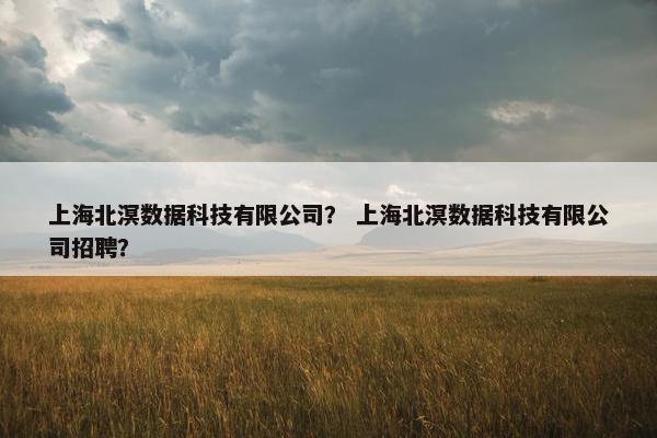 上海北溟数据科技有限公司？ 上海北溟数据科技有限公司招聘？