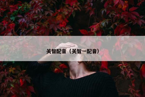 关智配音（关智一配音）