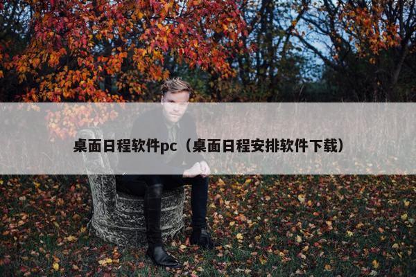 桌面日程软件pc（桌面日程安排软件下载）