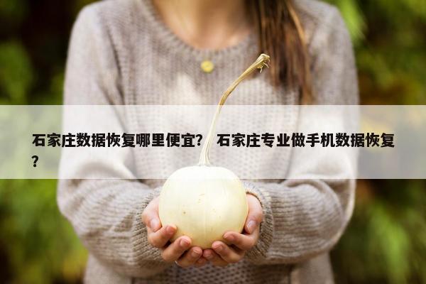 石家庄数据恢复哪里便宜？ 石家庄专业做手机数据恢复？