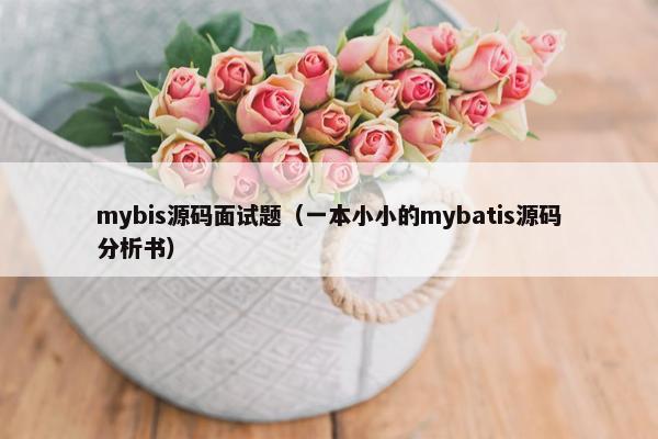 mybis源码面试题（一本小小的mybatis源码分析书）