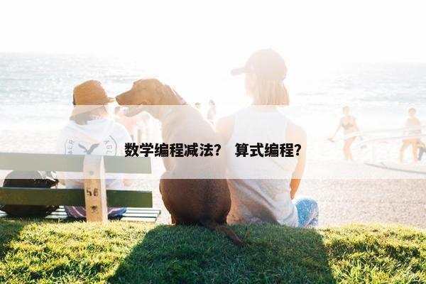 数学编程减法？ 算式编程？