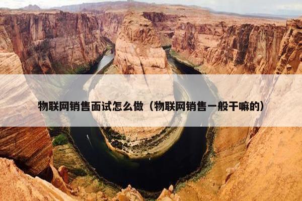 物联网销售面试怎么做(物联网销售一般干嘛的) 物联网销售面试怎么做(物联网销售一般干嘛的)