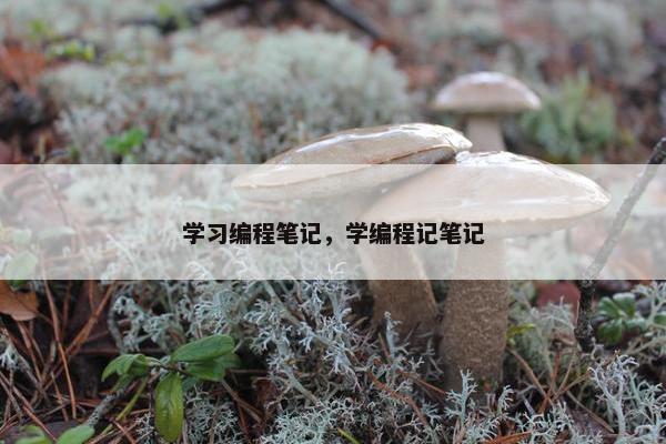 学习编程笔记，学编程记笔记