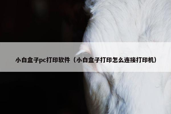 小白盒子pc打印软件（小白盒子打印怎么连接打印机）