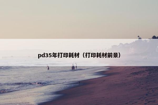 pd35年打印耗材（打印耗材前景）