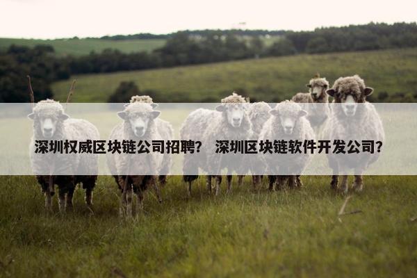 深圳权威区块链公司招聘？ 深圳区块链软件开发公司？