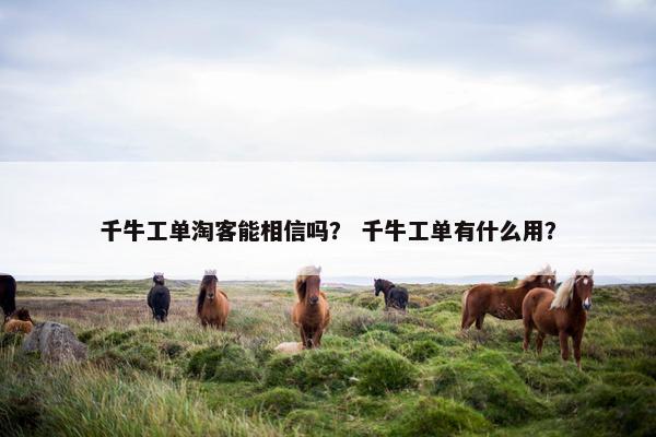 千牛工单淘客能相信吗？ 千牛工单有什么用？