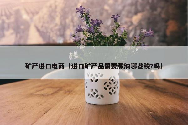 矿产进口电商(进口矿产品需要缴纳哪些税?吗) 矿产进口电商(进口矿产品需要缴纳哪些税?吗)