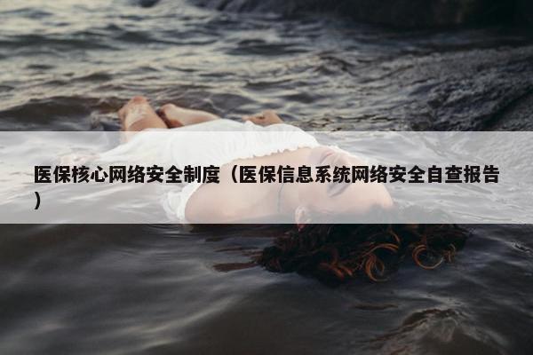 医保核心网络安全制度（医保信息系统网络安全自查报告）