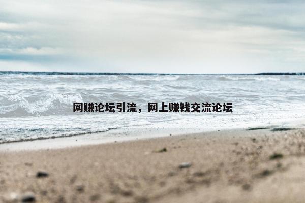网赚论坛引流，网上赚钱交流论坛