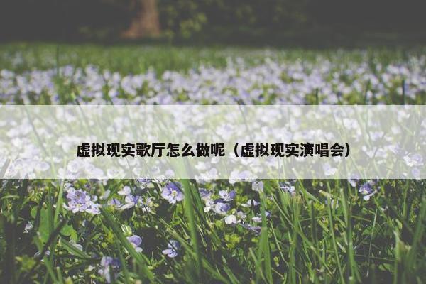 虚拟现实歌厅怎么做呢（虚拟现实演唱会）