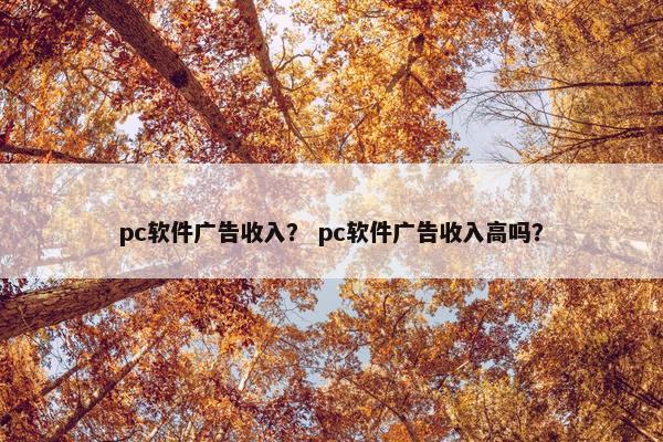 pc软件广告收入？ pc软件广告收入高吗？