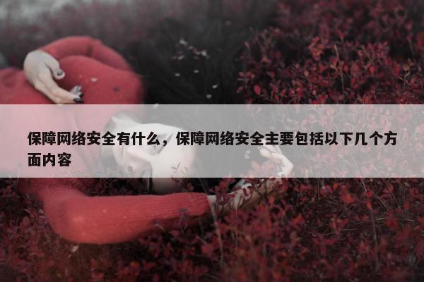 保障网络安全有什么,保障网络安全主要包括以下几个方面内容 保障网络安全有什么,保障网络安全主要包括以下几个方面内容