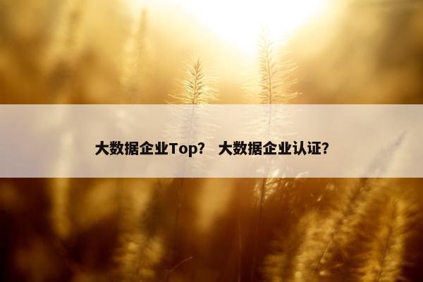 大数据企业Top？ 大数据企业认证？