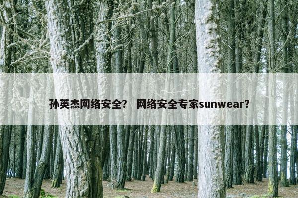 孙英杰网络安全？ 网络安全专家sunwear？