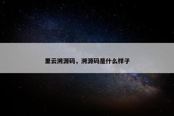 里云溯源码，溯源码是什么样子